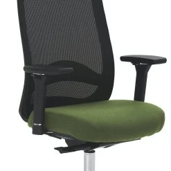 Mayer-sitzmobel Mayer Sitzmöbel, Drehstuhl 2228, Farngrün, 2228_AV4D_KS_SYM++_POL_ROB_30613