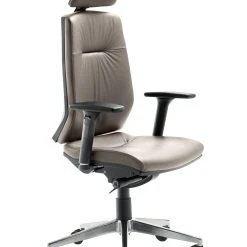 Mayer-sitzmobel Mayer Sitzmöbel, Drehstuhl 2480, Taupe, 2480_BS_ROG_81024